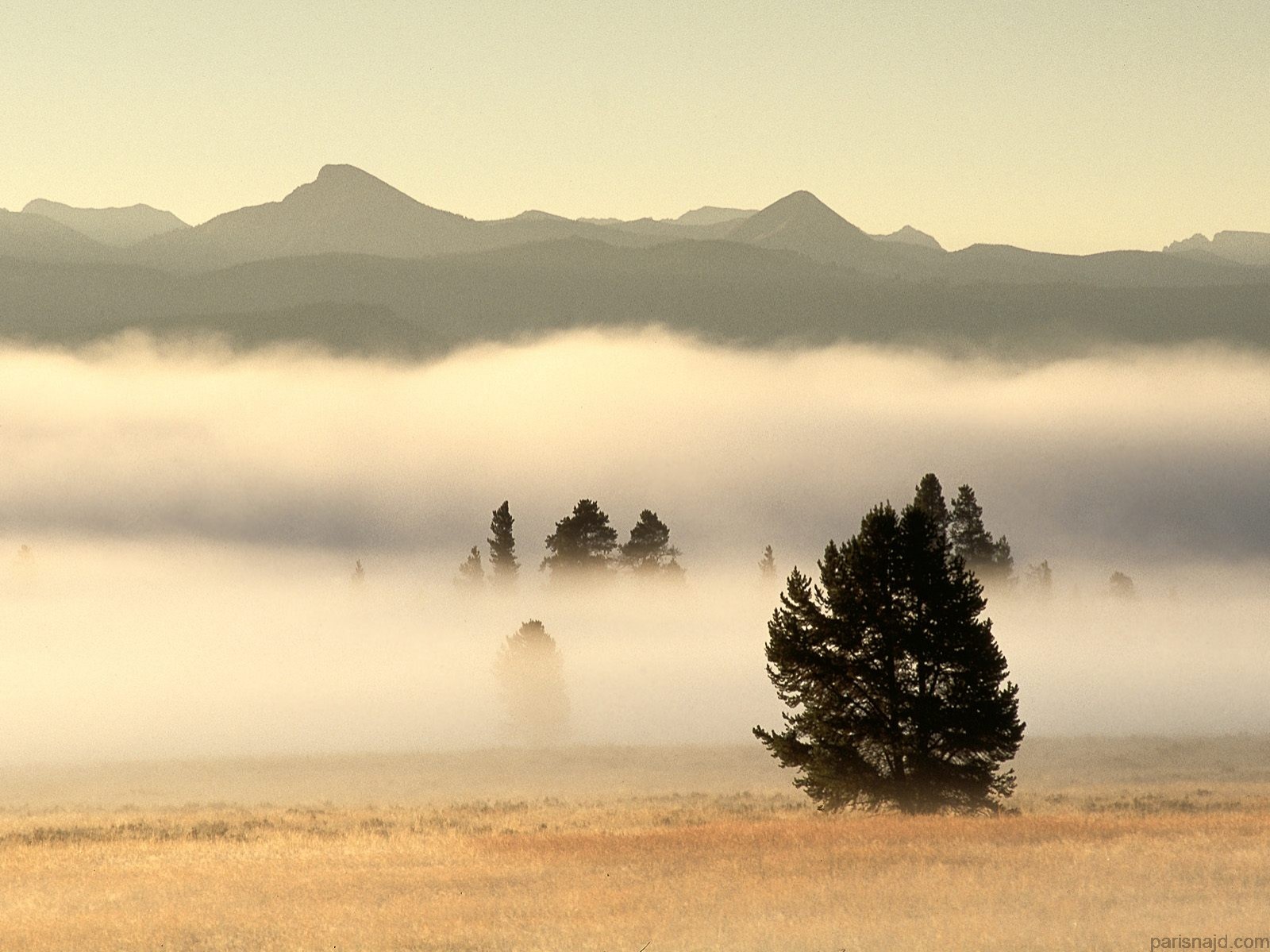 مجموعة خلفيات:شروق الشمس Fog at Sunrise, Pelican Valley, Yellowstone Nati